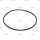 O-Ring  p.f. RENAULT TRUCKS 5003065197