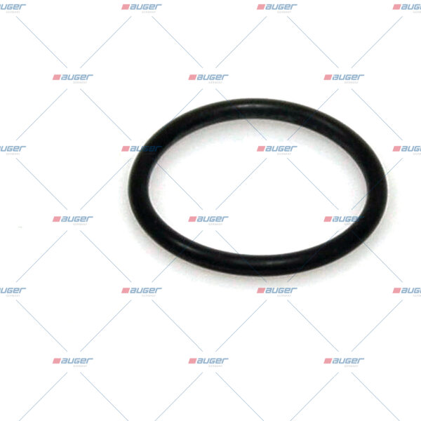 O-Ring ø2xø21 p.f. BPW 256772100