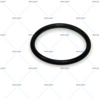 O-Ring ø2xø21 p.f. BPW 256772100