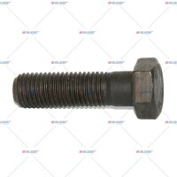 Schraube M20x2,5/70 p.f. VOLVO 963338