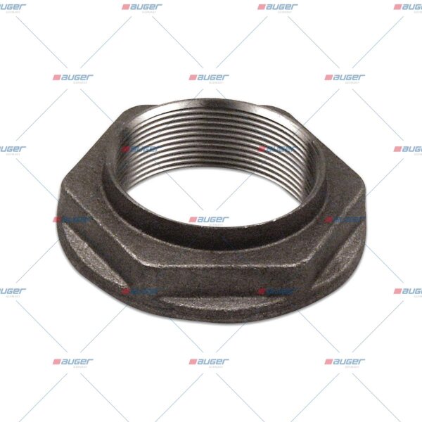 Achsmutter p.f. RENAULT TRUCKS 5000716984