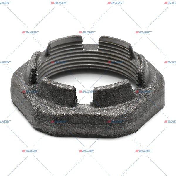 Achsmutter p.f. RENAULT TRUCKS 7420456099
