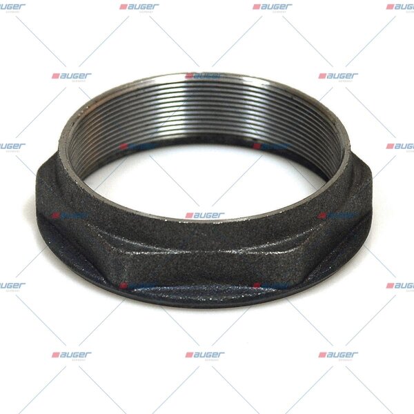 Achsmutter p.f. RENAULT TRUCKS 5010439223