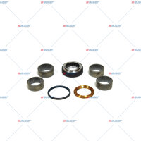 Achsschenkelbolzensatz p.f. MERCEDES-BENZ 6553300419