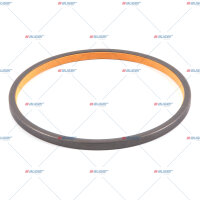 Dichtring, Federsattel p.f. MERCEDES-BENZ 3953200067