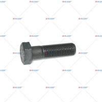 Schraube, Querlenker M20x2/70 p.f. MAN 6014944913