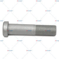 Radbolzen p.f. MAN 81455010139