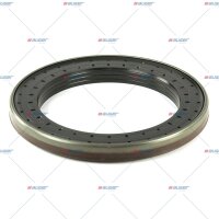 Dichtring, Radnabe p.f. IVECO 40102333