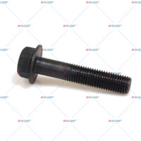 Schraube M16x2/80 p.f. DAF 1243049