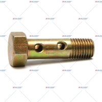 Fitting, Einspritzpumpe p.f. SCANIA 17384