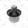 Thermostat  p.f. MERCEDES-BENZ 52031775