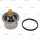 Thermostat  p.f. DAF 1439845
