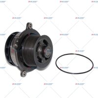 Wasserpumpe p.f. IVECO 500356553