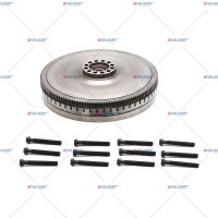Schwungrad p.f. MERCEDES 4700302405