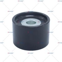 Spannrolle, Lüfter p.f. MAN 51958006103