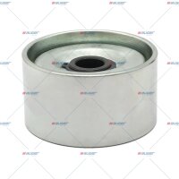 Spannrolle, Lüfter p.f. MERCEDES-BENZ 5501333