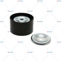 Spannrolle, Lüfter p.f. MERCEDES 5501733
