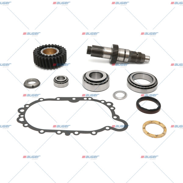 Reparatursatz Differential p.f. SCANIA 1929954