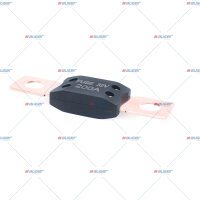 Sicherung 200A