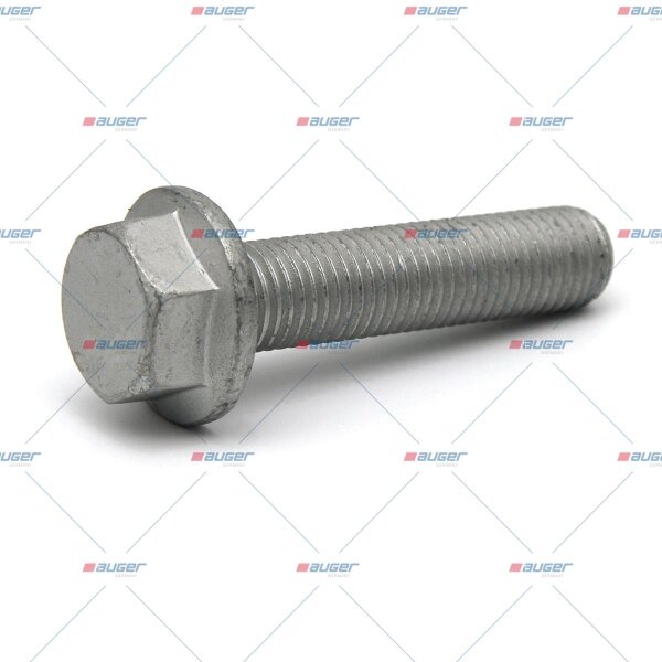 Schraube M16x2/70 p.f. DAF 1231069