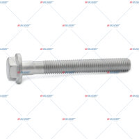 Schraube M14x2/110 p.f. DAF 1243038