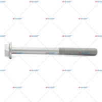 Schraube M16x2/180 p.f. DAF 1329698