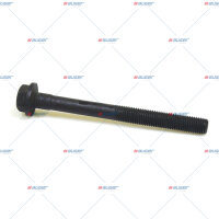 Schraube M16x2/170 p.f. DAF 1451156