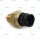 Sensor, Schaltbetätigung p.f. MAN 81255250257