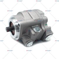 Lenkpumpe p.f. MERCEDES-BENZ 9604600280