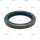 Dichtring p.f. SCANIA 1345278