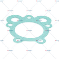 Dichtring p.f. SCANIA 1347339