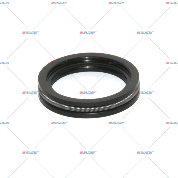 Dichtring p.f. DAF 1379083