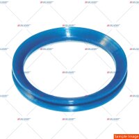Dichtring p.f. DAF 1258284