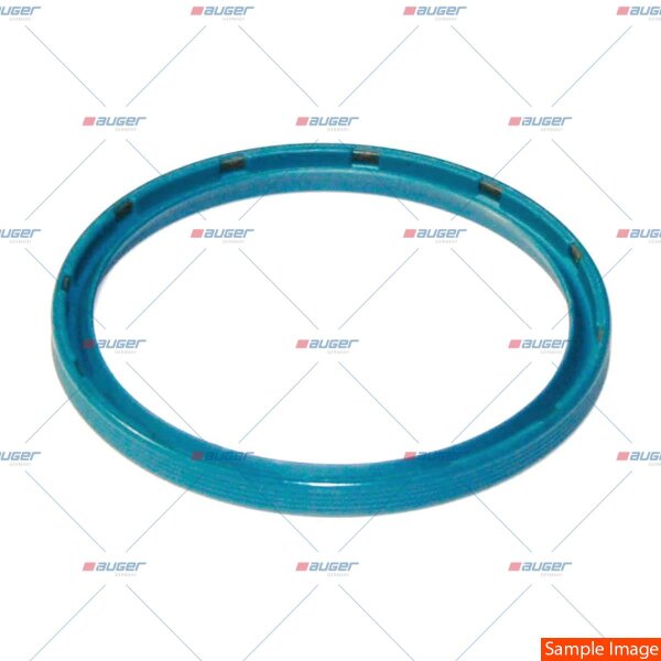 Dichtring p.f. DAF 285667