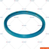 Dichtring p.f. DAF 285667