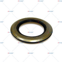 Dichtring p.f. ROR-MERITOR 1229K4795
