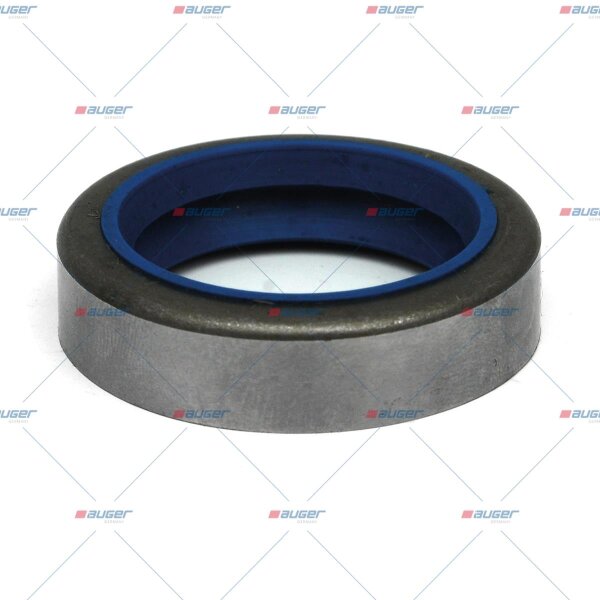 Dichtring p.f. DAF 1261846