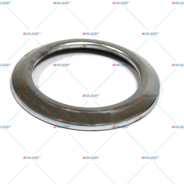 Dichtring p.f. DAF 376039