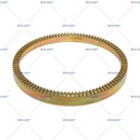 Ring, ABS p.f. IVECO 7172934