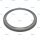 Ring, ABS p.f. DAF 1805822