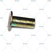 Bremsbelag Niete p.f. MAN 81922010108