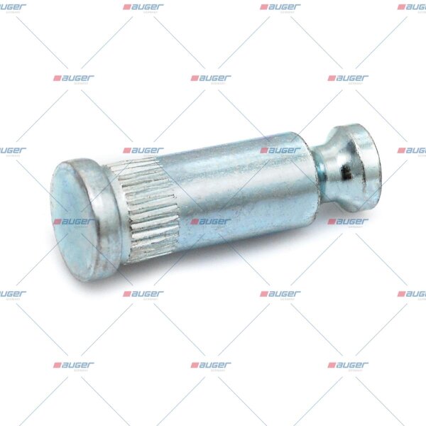 Bolzen ø10x32,5 SCANIA 1304645 p.f. SCANIA 1304645