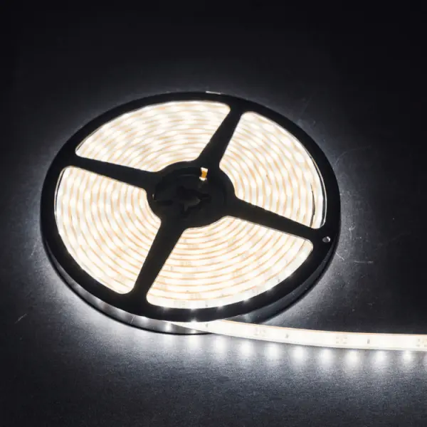 LED-Streifen auf Rolle 5m. | 24v | 1200 Lumen pro Meter | 6000K | IP68 | BLS-5060W24V