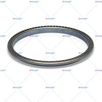 ABS Ring p.f. SAF 4029106100
