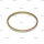 ABS Ring p.f. SAF 4029102900