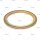 ABS Ring p.f. SAF 4029100101