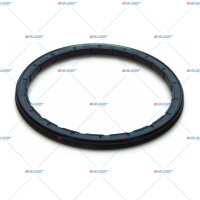 Dichtring, Radnabe p.f. BPW 256645800