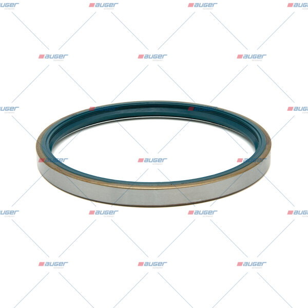 Dichtring, Radnabe p.f. SAF 4373000500