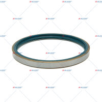 Dichtring, Radnabe p.f. SAF 4373000500