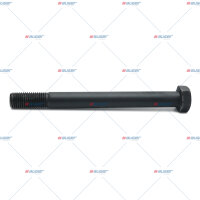 Schraube  p.f. BPW 334014190